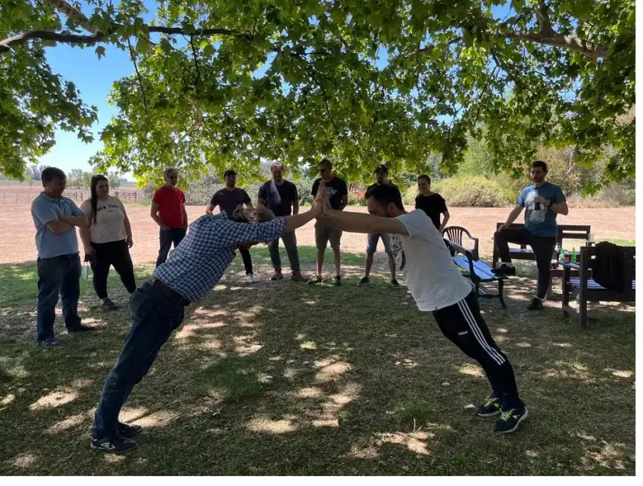 Equipo realizando una actividad grupal de equilibrio bajo los árboles.